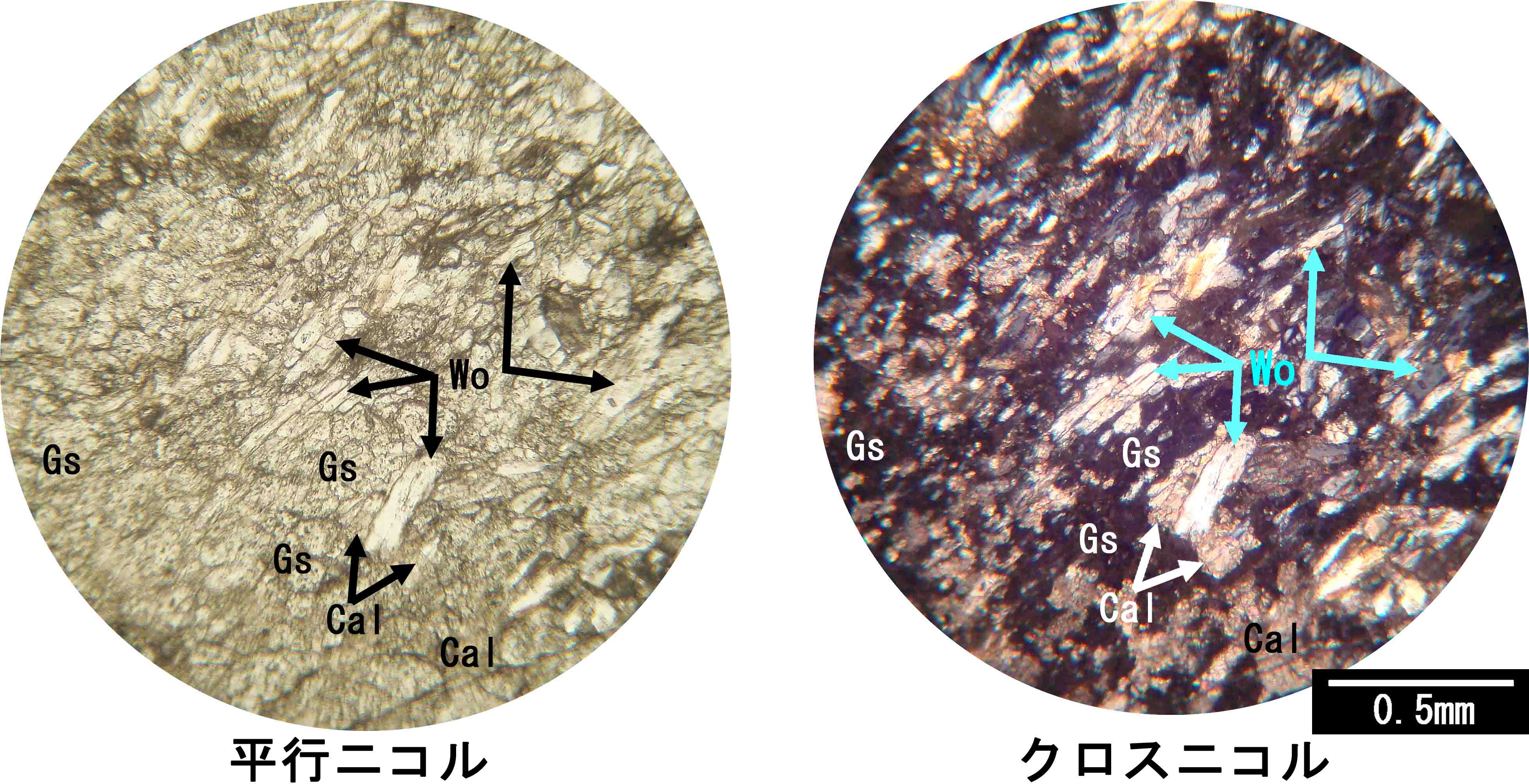 ケイ灰石 wollastonite